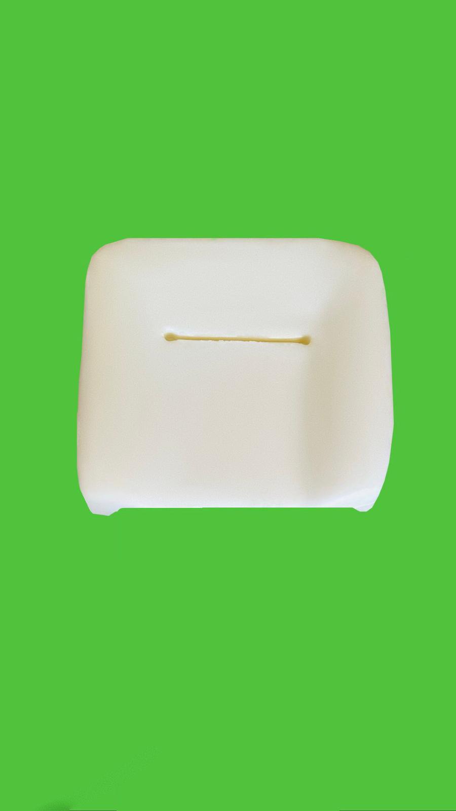 Reno-12 Uyumlu Sırt Süngeri